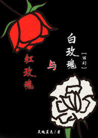 红玫瑰与白玫瑰
